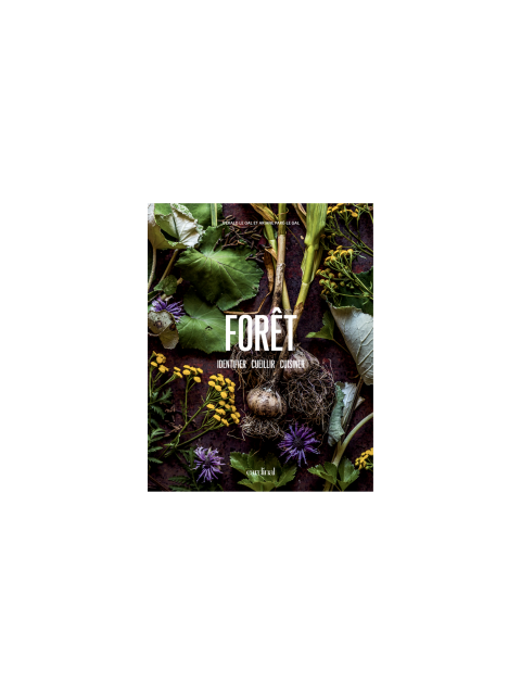 Livre Forêt Identifier-cueillir-cuisiner