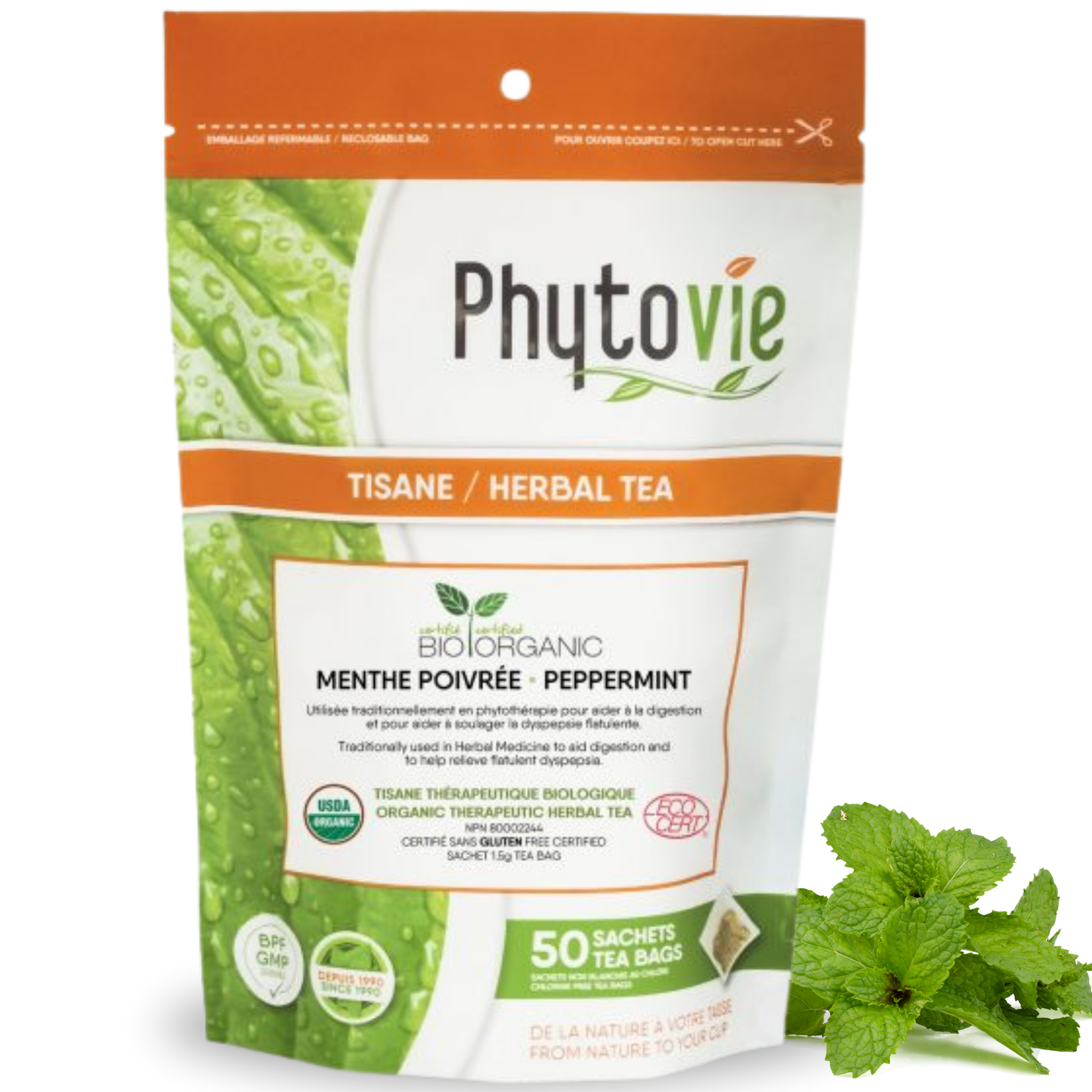 Menthe poivrée BIO | Digestion | 50 Sachets