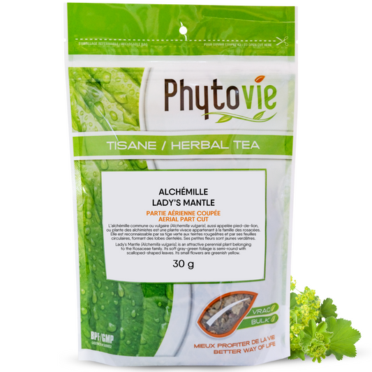 Alchémille herbe | 30 grammes