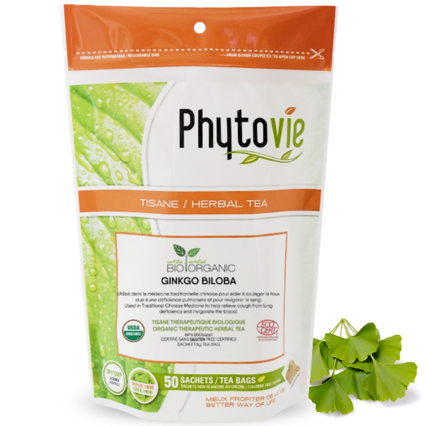 Ginkgo biloba BIO | Toux & vitalité | 50 Sachets
