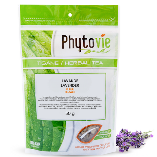 Blue flower lavender