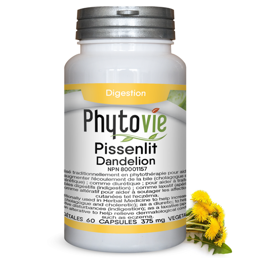 Pissenlit Extrait | Foie | 60 capsules
