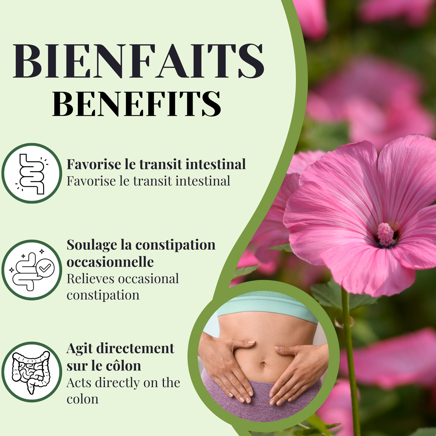 Malva | Laxatif | 90 capsules