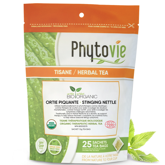 Ortie piquante bio | Tonique nutritif | 25 sachets