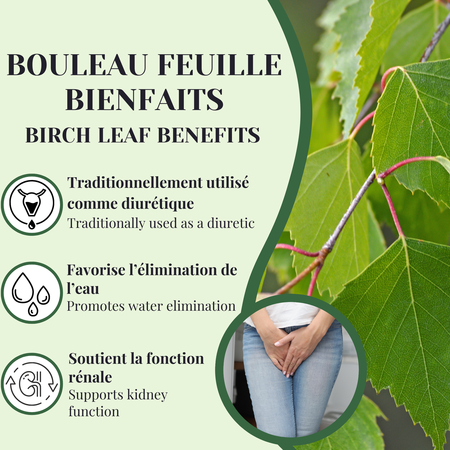 Birch leaf | Diuretic | 50 grams