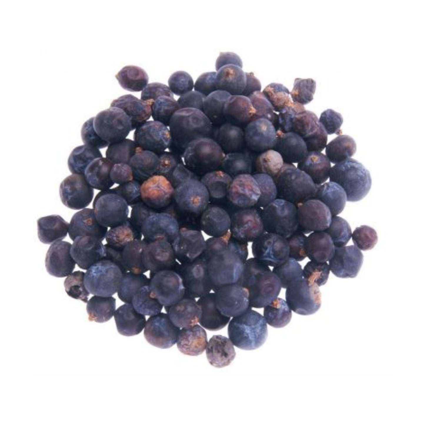 Genévrier baie entière | 1 KG