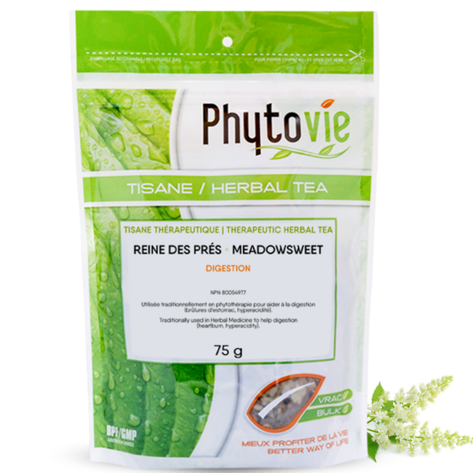 Meadowsweet | Digestion & Heartburn | 75 grams