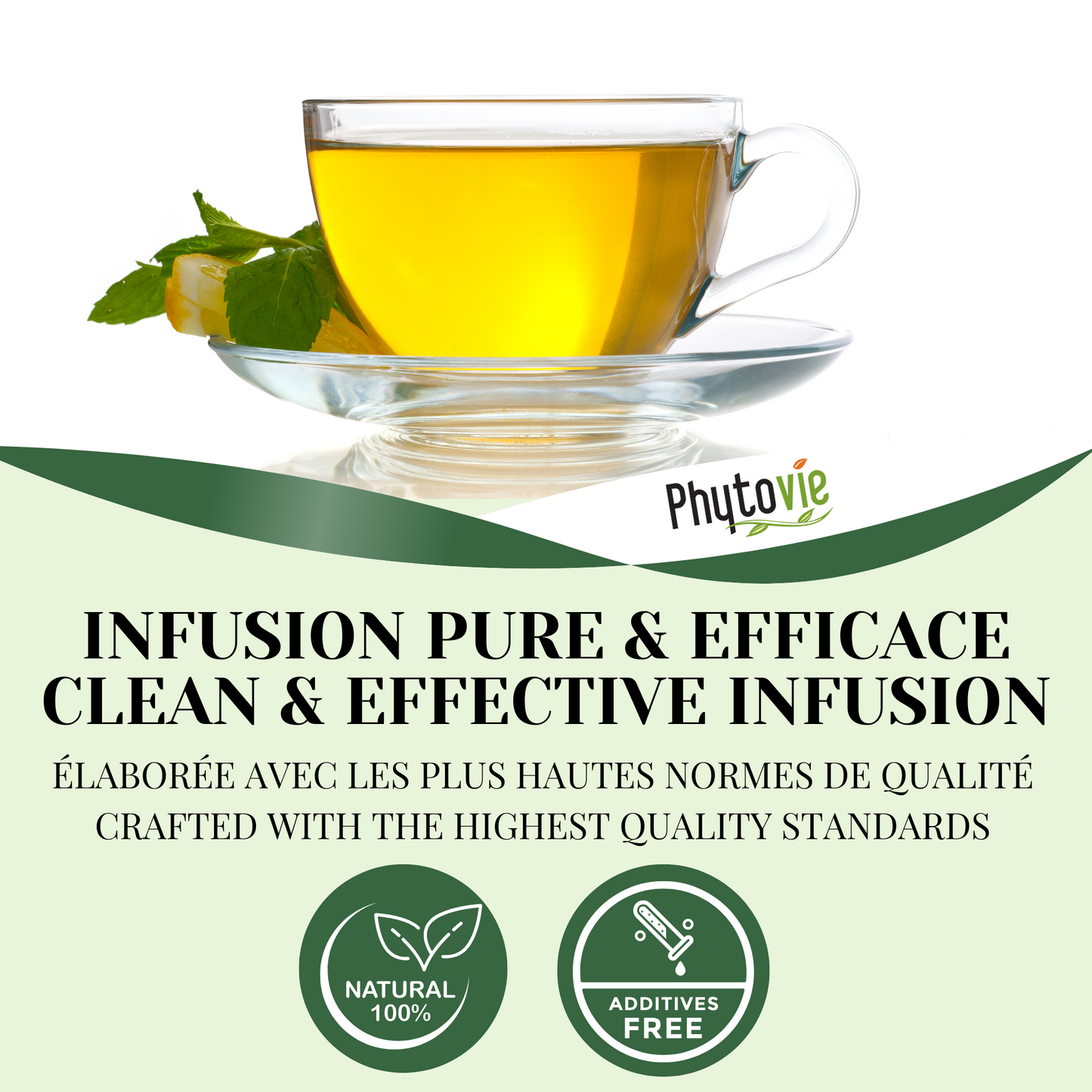 Sencha Green Tea | 25 Bags