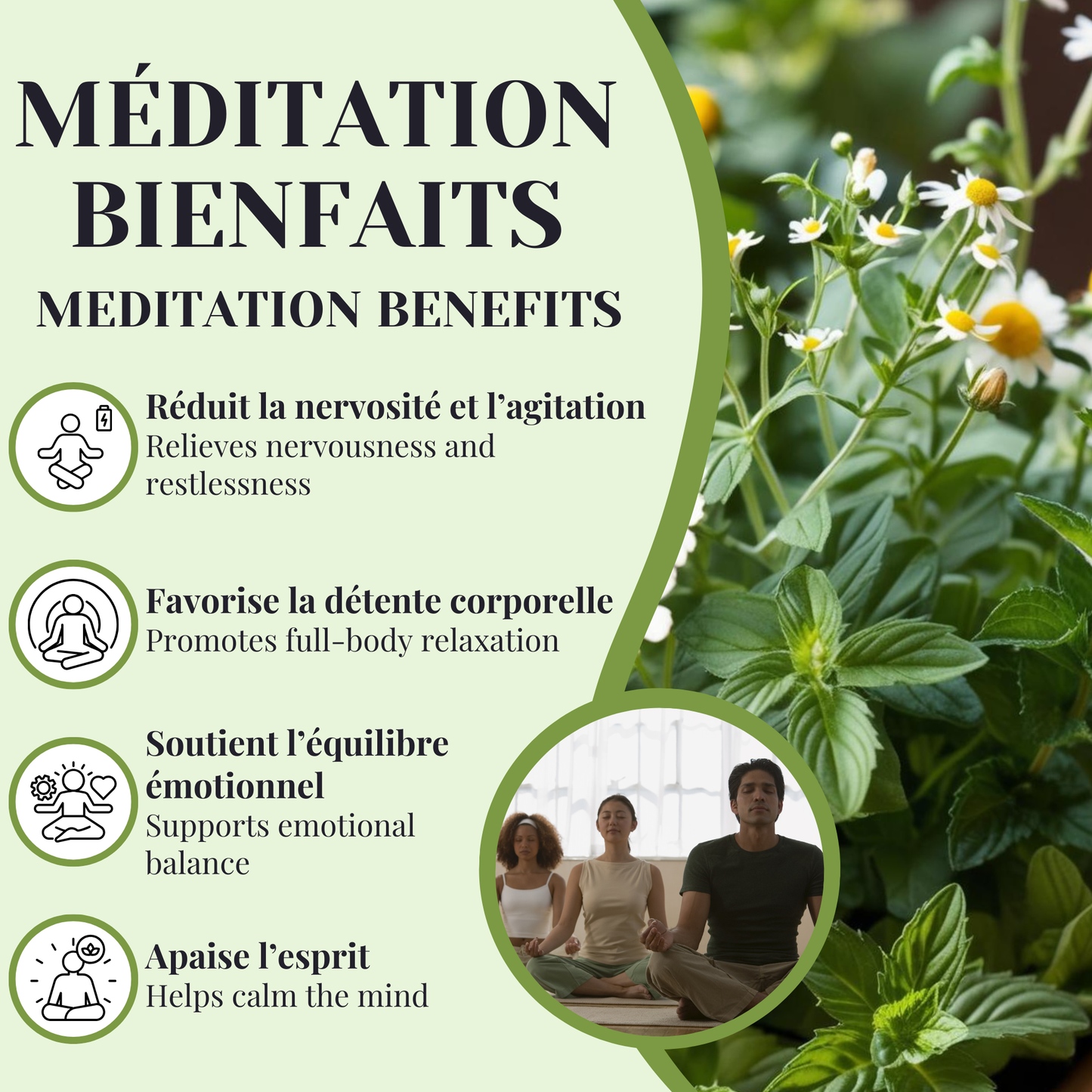 Méditation BIO | Détente mentale | 50 Sachets