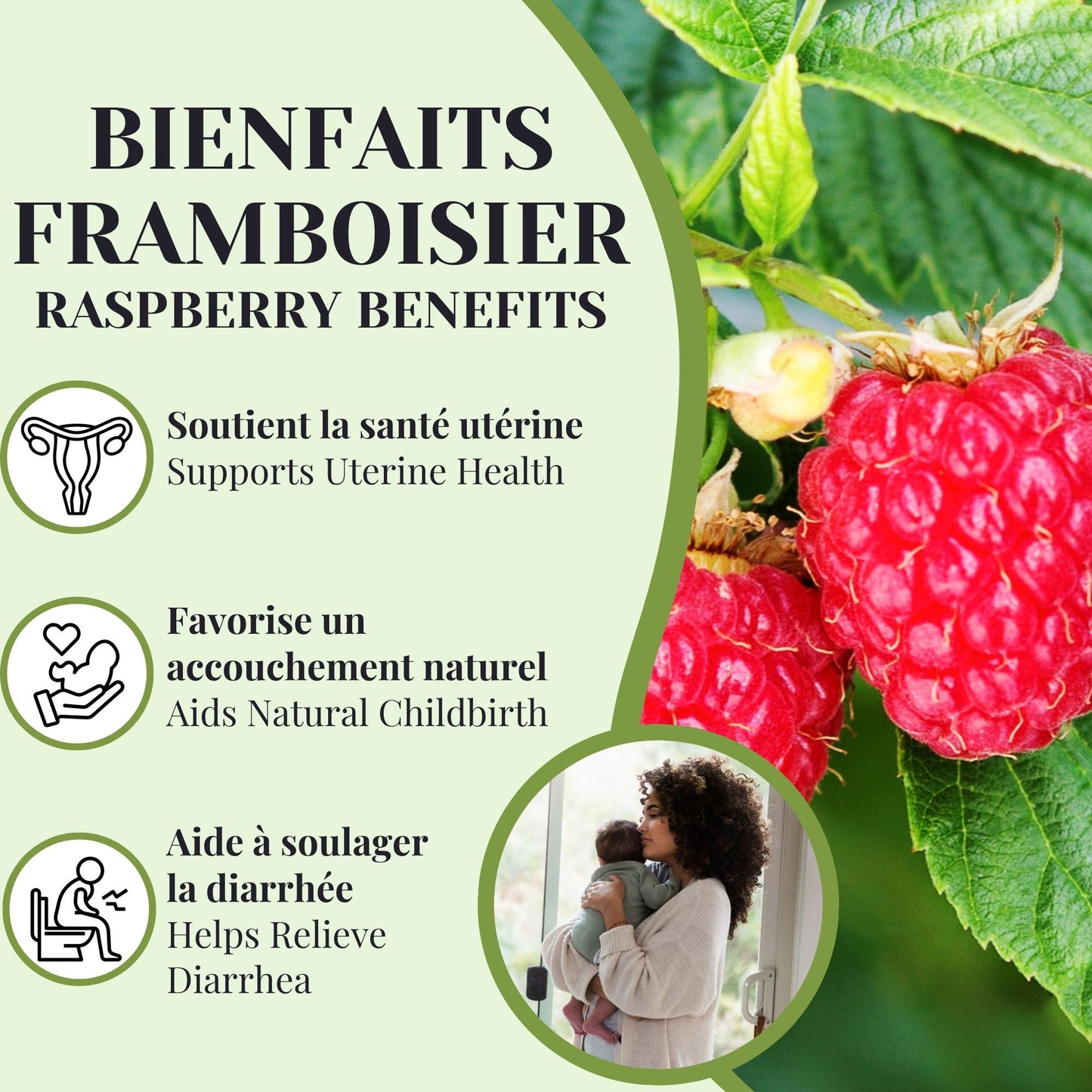 Raspberry | Uterine tonic | 50 grams