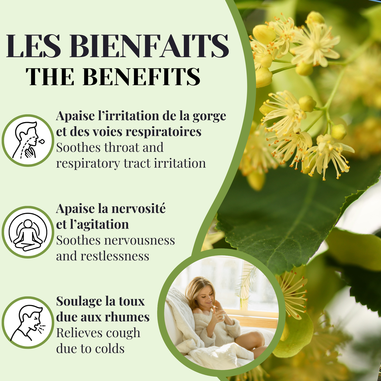 Tilleul fleur | Calmant nervin & soulagement de la toux | 50 Sachets