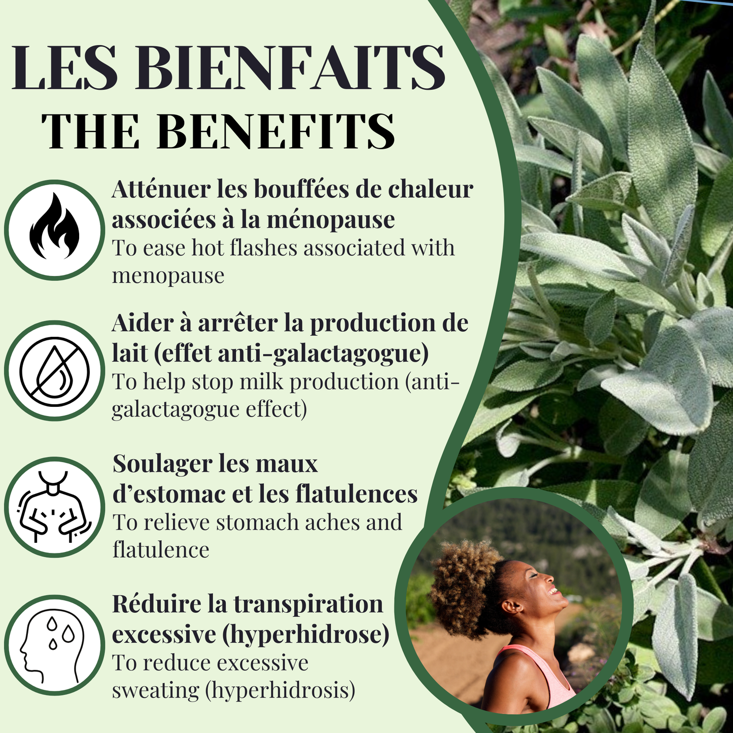 Sauge BIO | Maux d’estomac & flatulences | 50 Sachets