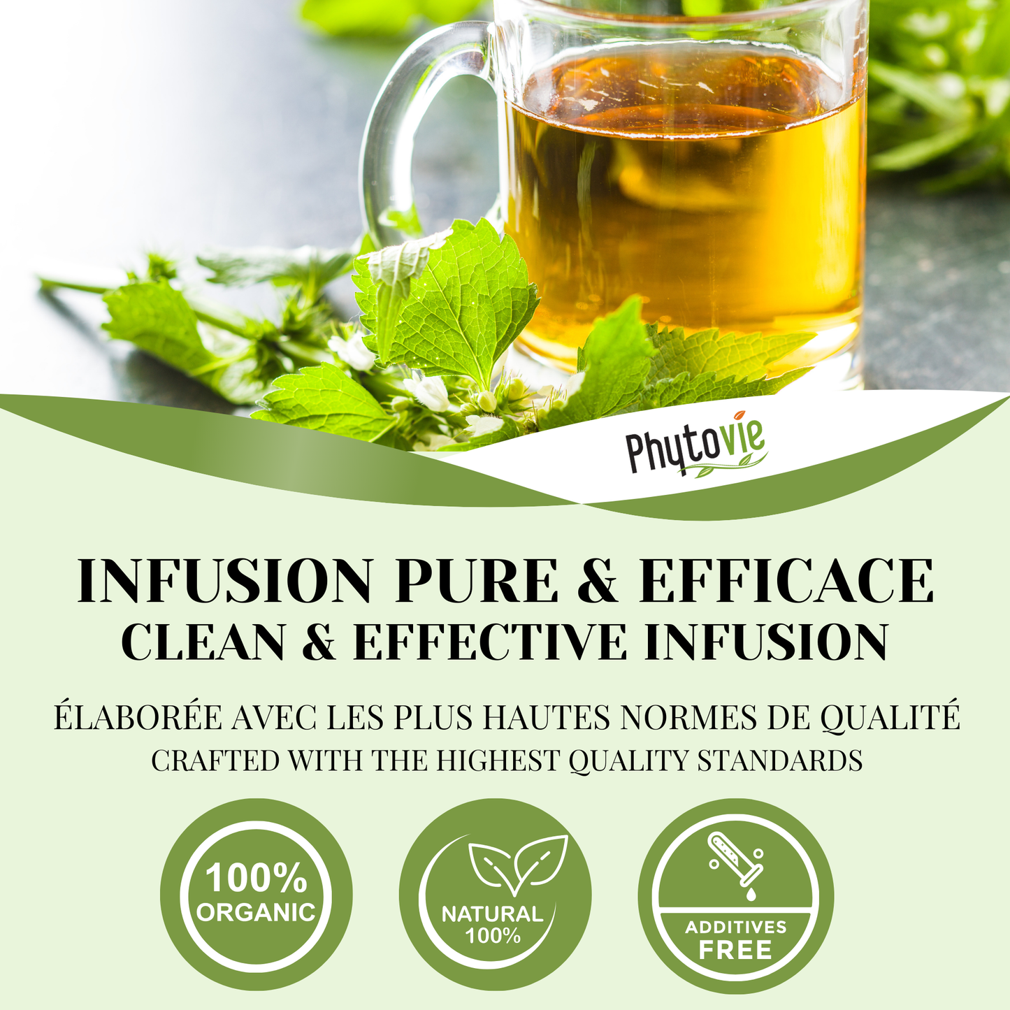 Organic Stinging Nettle | Nourishing Tonic | 25 sachets
