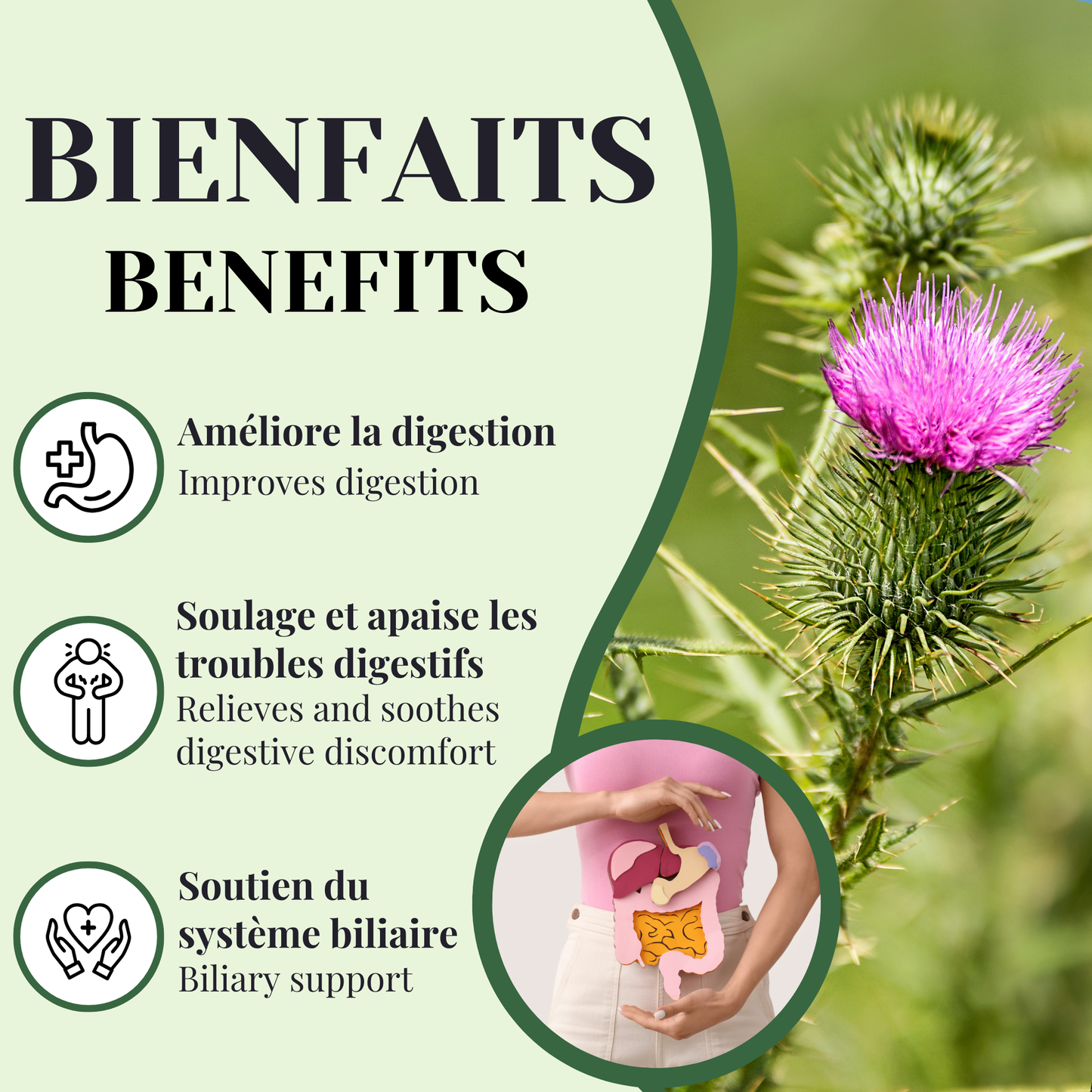 Milk Thistle | Digestion & Liver | 25 Sachets