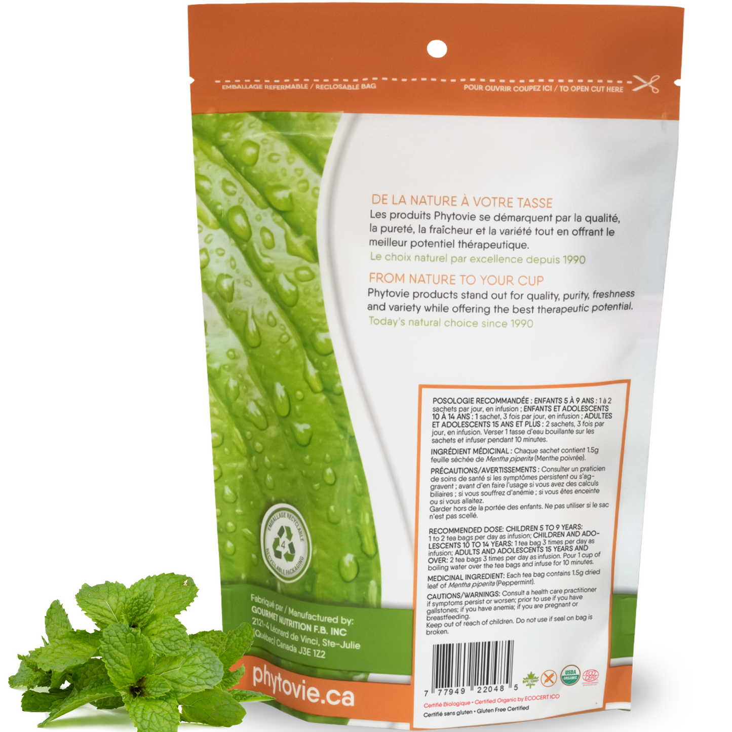 Menthe poivrée BIO | Digestion | 50 Sachets