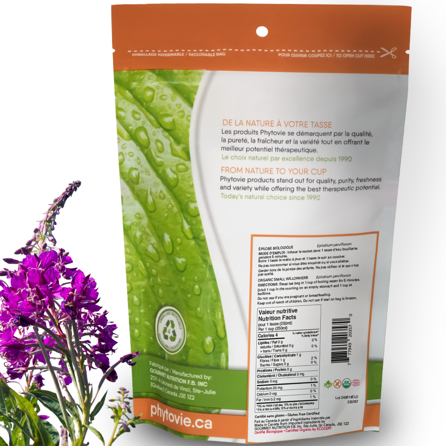 Épilobe à petites fleurs BIO | 25 sachets