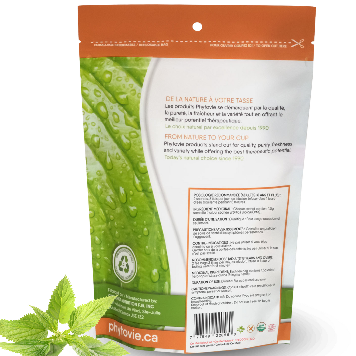 Organic Stinging Nettle | Nourishing Tonic | 25 sachets