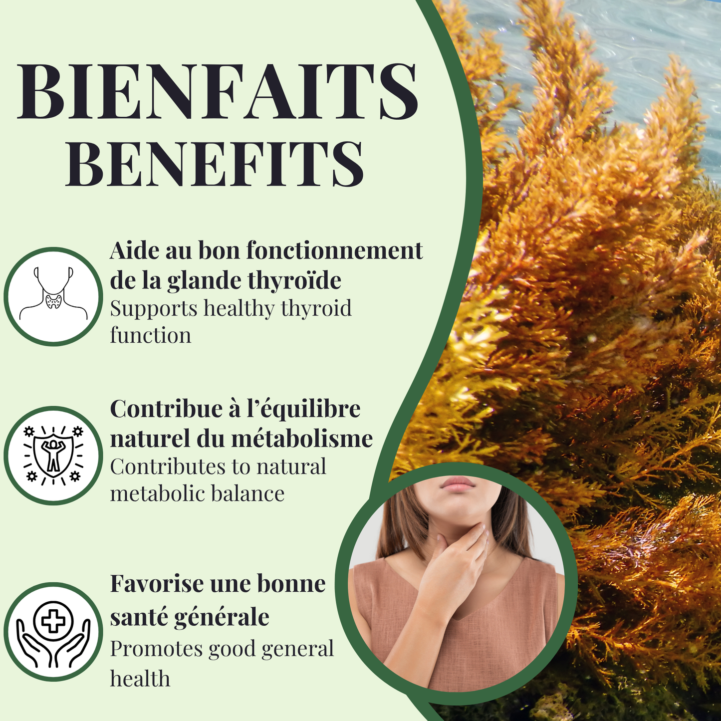 Algue Marine | Glande Thyroïde | 60 capsules