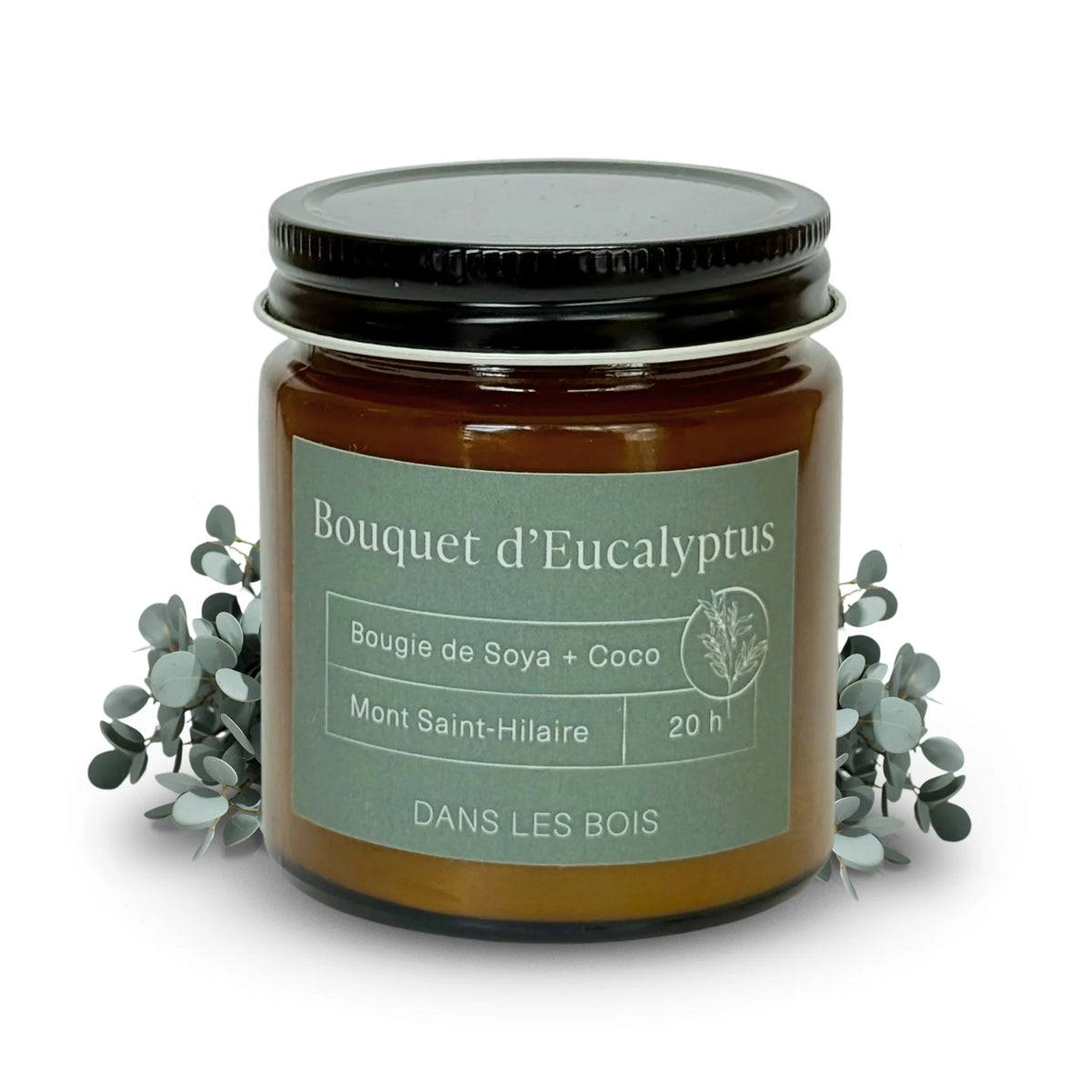 Bougie Bouquet d’Eucalyptus 20 h, 4 oz avec feuilles d’eucalyptus sur fond blanc, parfum frais et apaisant