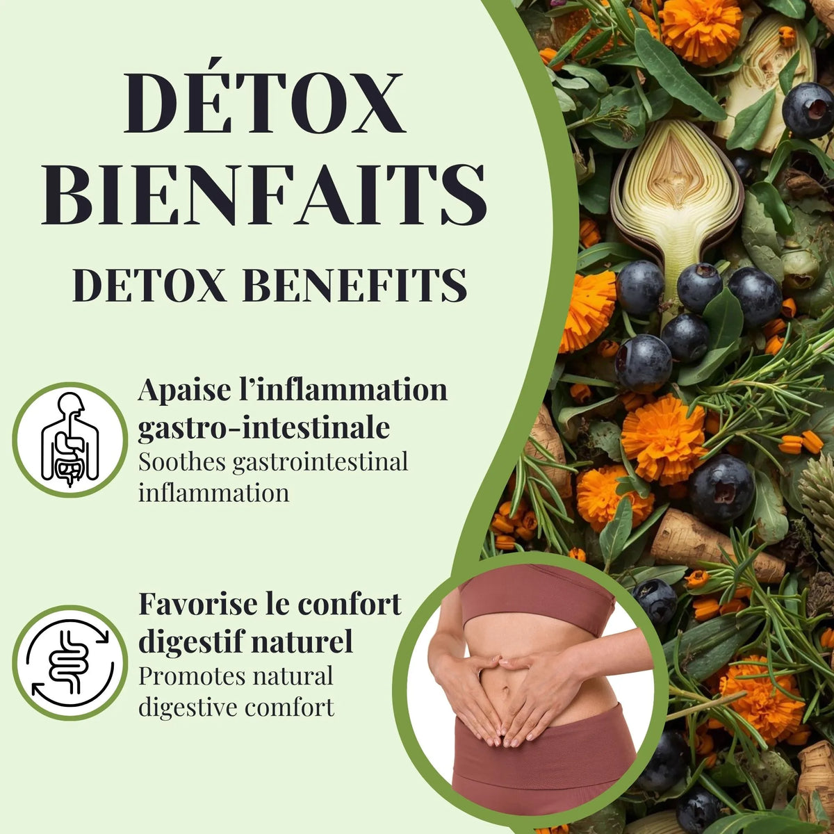 Bienfaits de la tisane Détox foie aidant à éliminer les toxines, soutenir le foie et améliorer la digestion naturellement