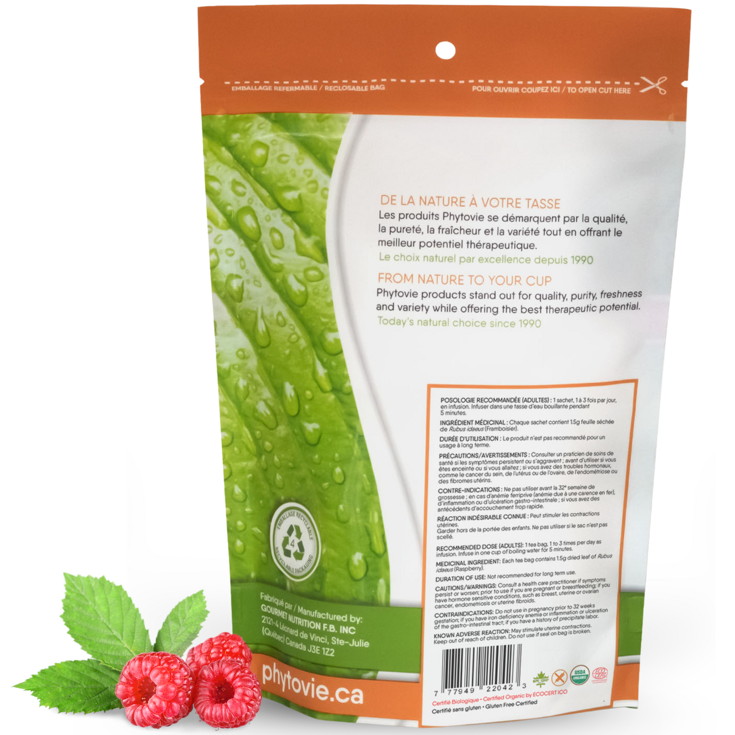 Organic Raspberry | Uterine Tonic | 25 Sachets