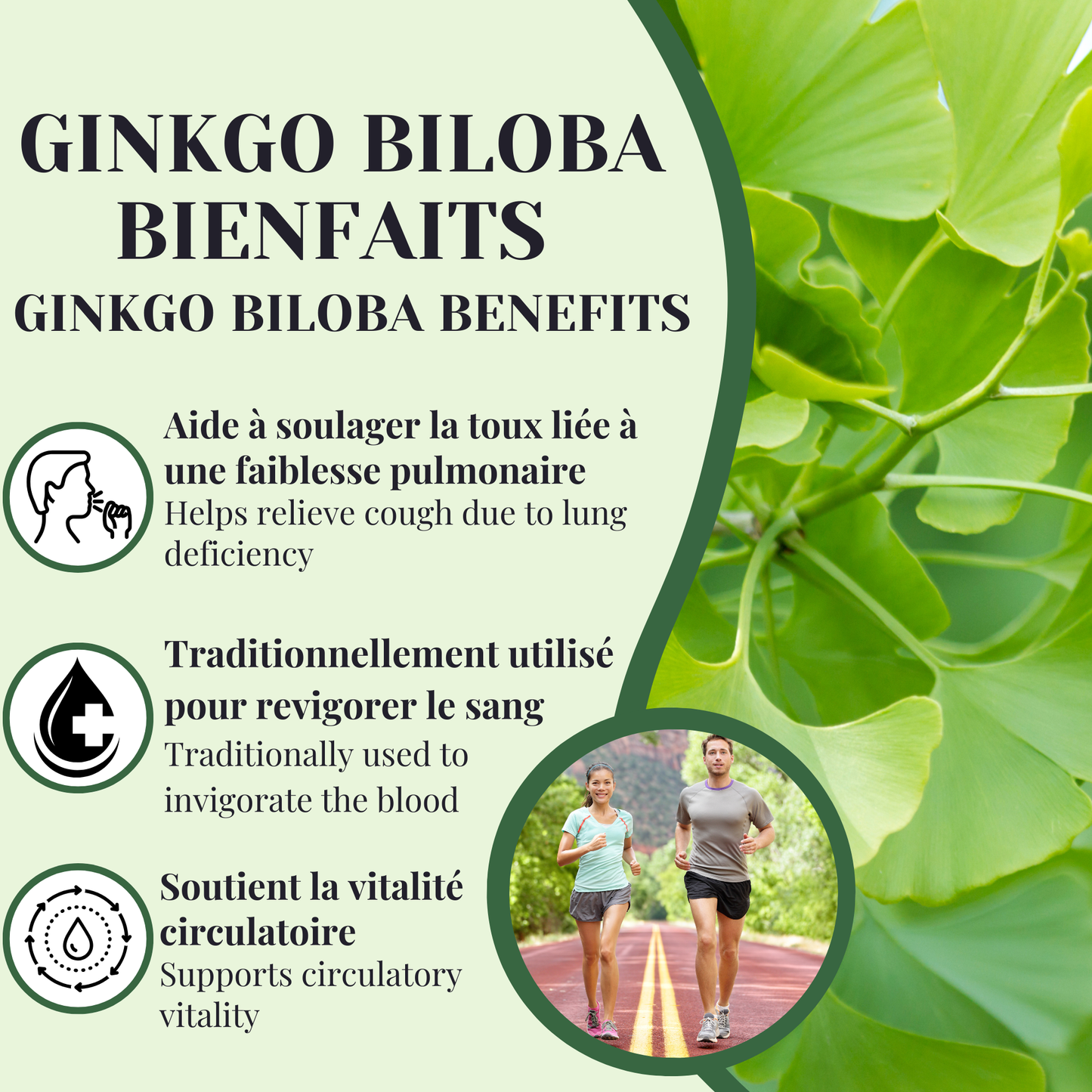 Ginkgo biloba | Toux & vitalité | 50 grammes