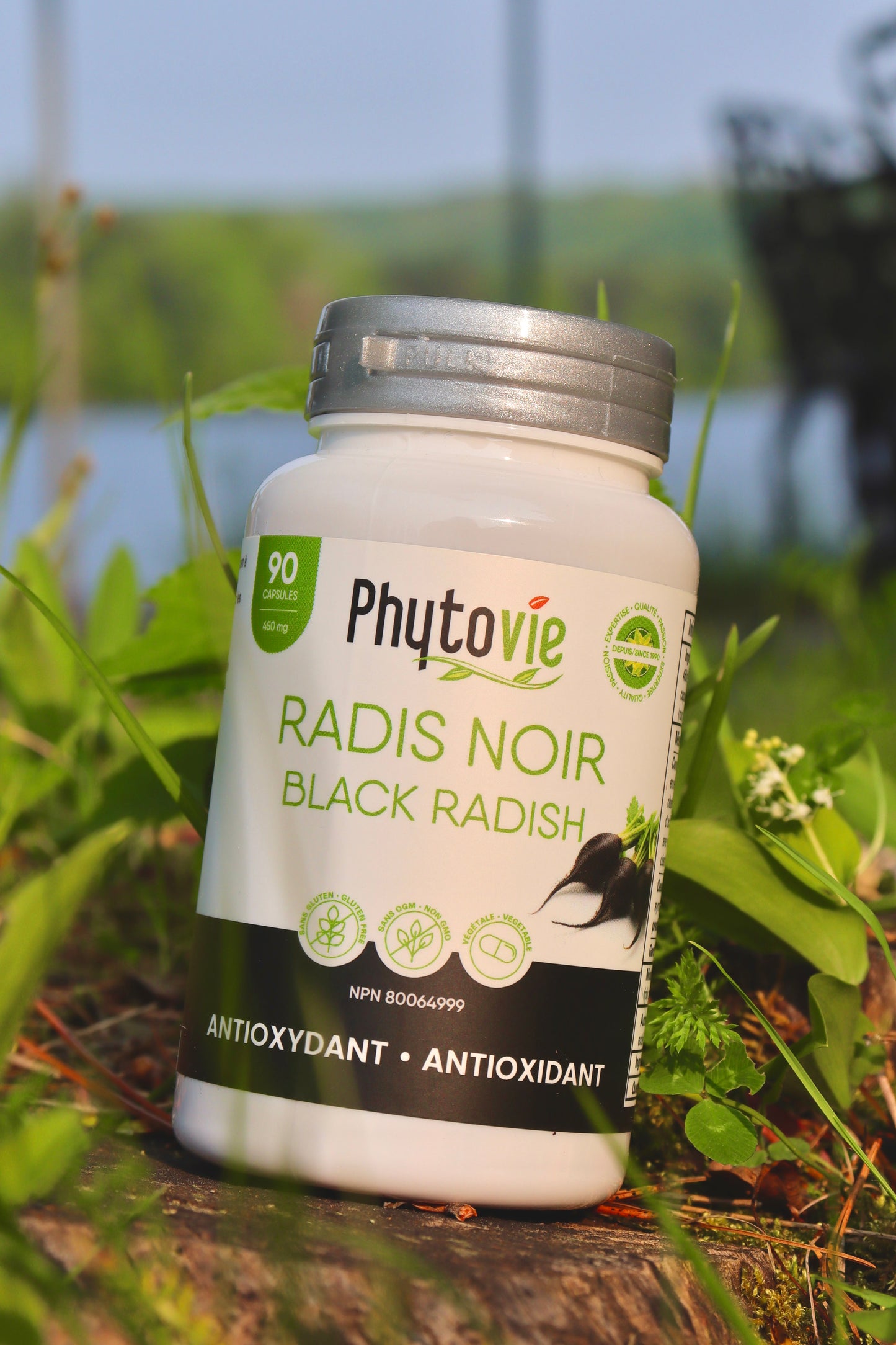 Radis Noir | Antioxydant | 90 capsules