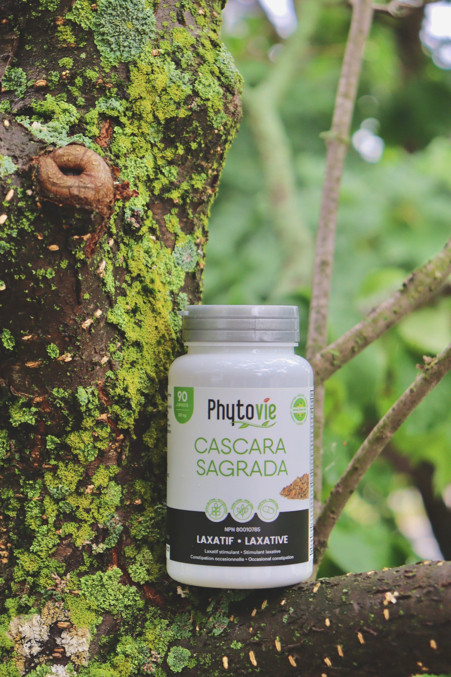 Cascara Sagrada | Laxatif | 90 capsules