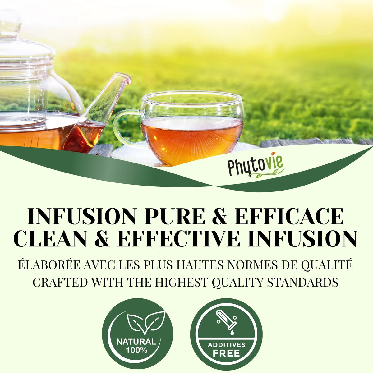 Tasse de tisane pour les inflammations accompagnée de plantes naturelles, illustrant une infusion réconfortante favorisant la souplesse et le bien‑être articulaire