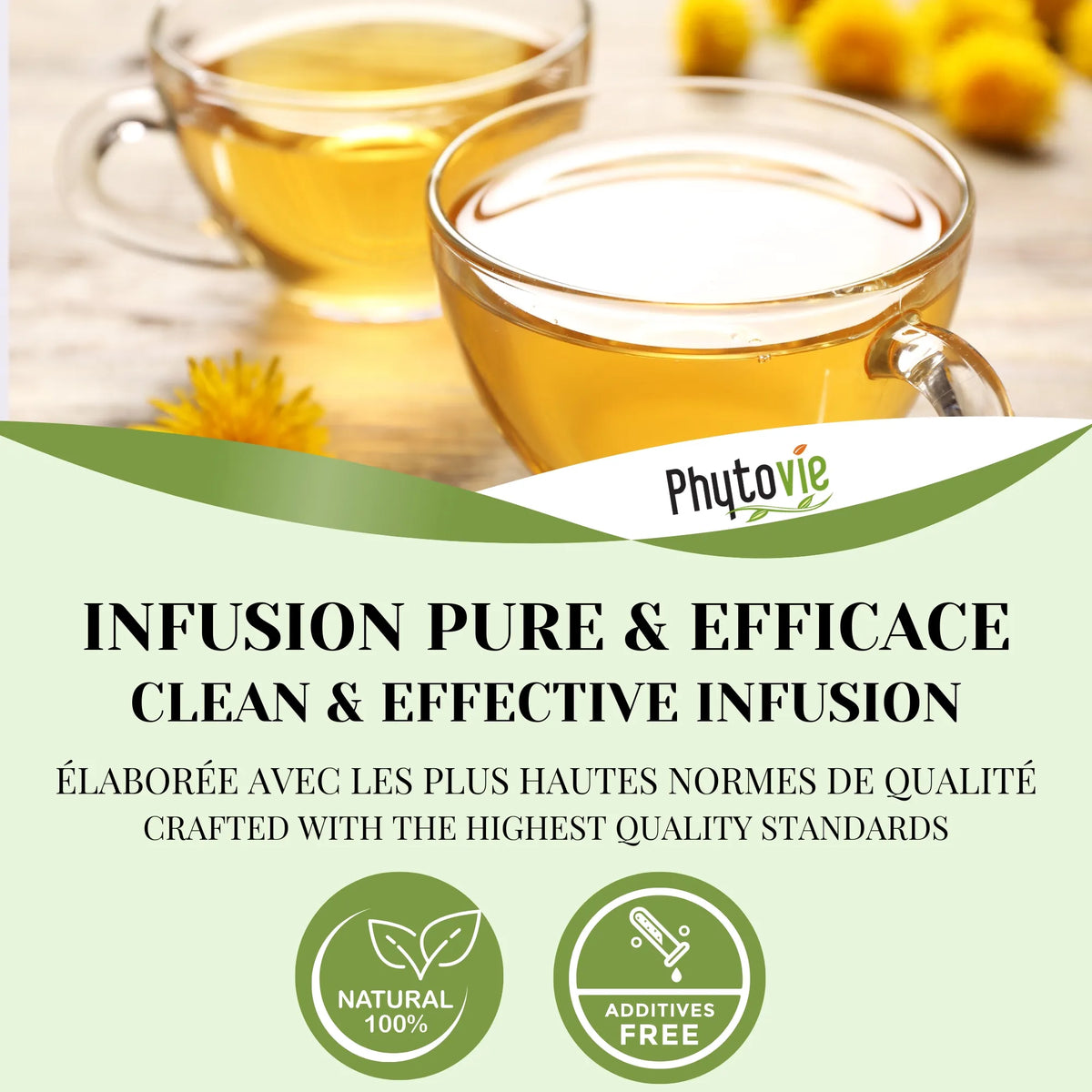 Tasse de tisane de racine de pissenlit illustrant une infusion pure, détoxifiante et revitalisante, 100% naturelle et de qualité supérieure