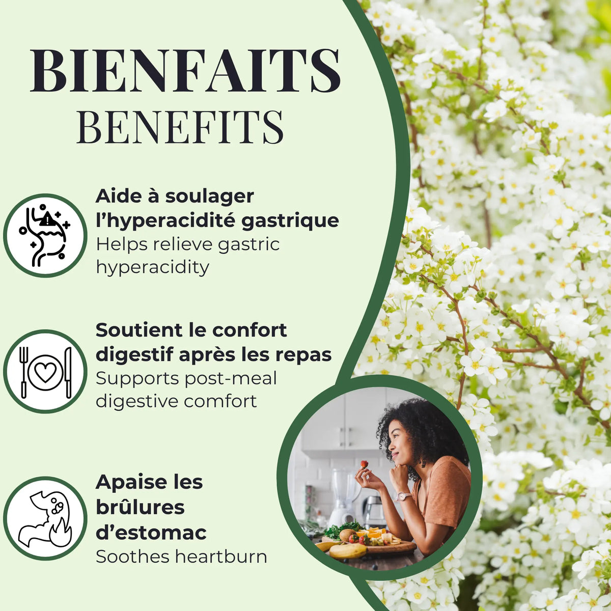 Bienfaits de la Reine des prés Phytovie, aide à soulager l’hyperacidité gastrique, apaise les brûlures d’estomac et soutient le confort digestif