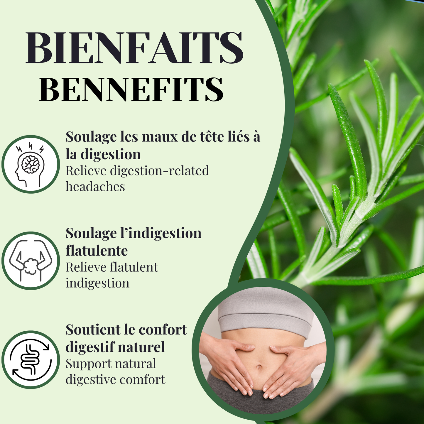 Rosemary | Digestion | 100 grams