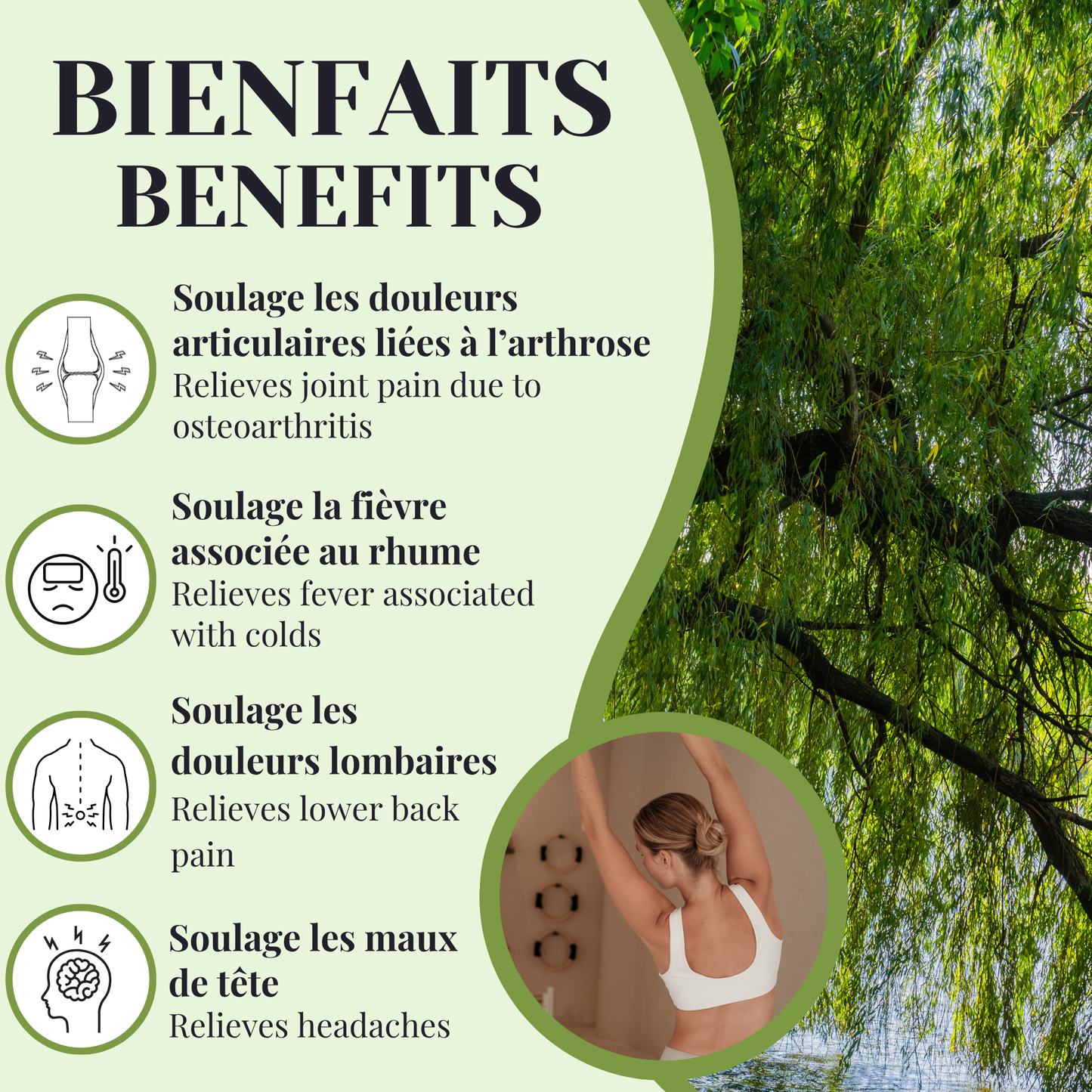 Saule | Douleurs articulaires | 100 grammes