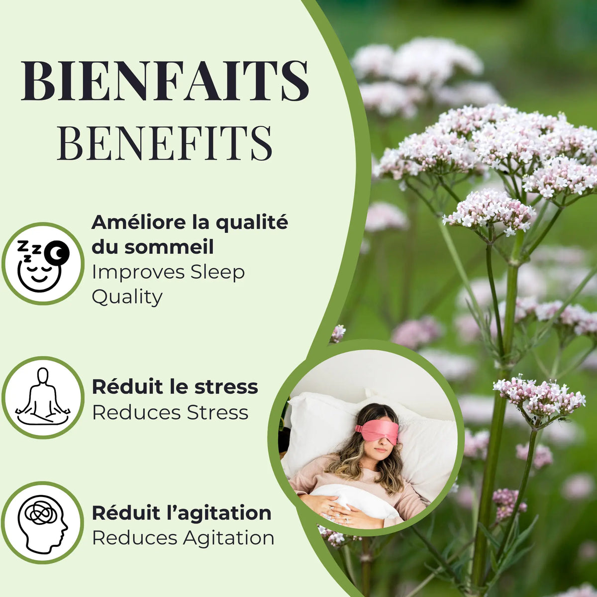 Bienfaits de la valériane Phytovie, aide à améliorer la qualité du sommeil, à réduire le stress et à diminuer l’agitation