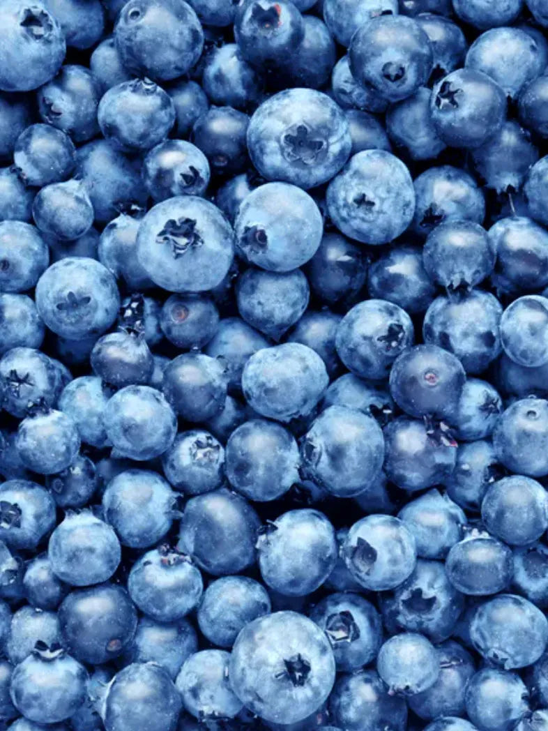 Confiture de bleuets sauvage | 190 ml