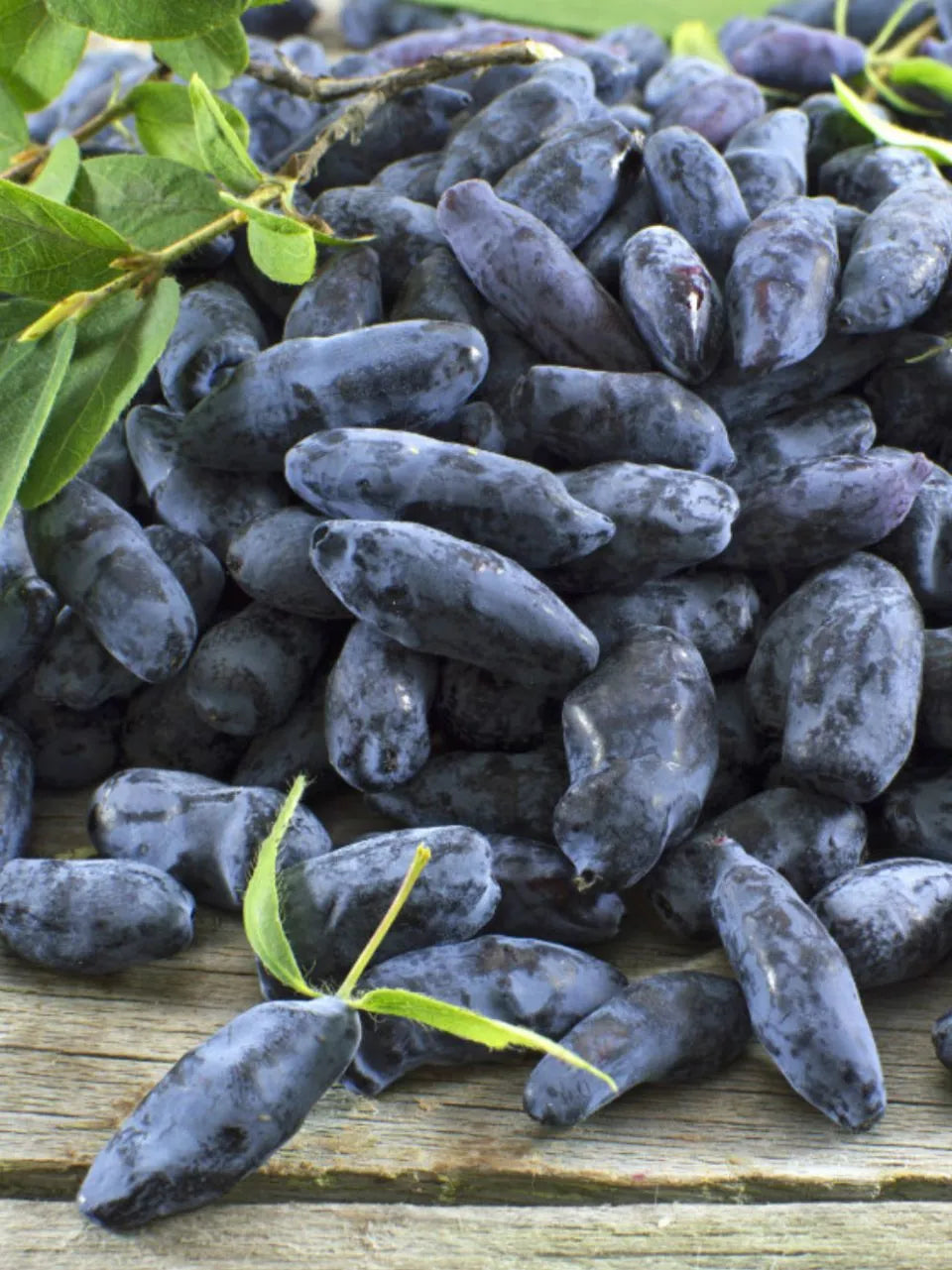 Confiture de camerises | 190 ml