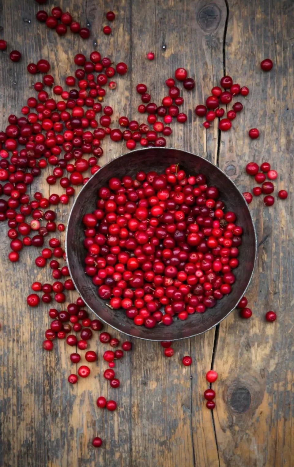 Confiture d'airelles | 190 ml