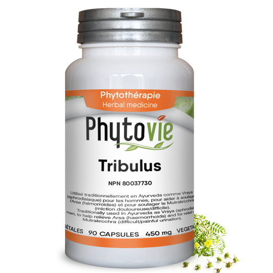 Tribulus Terrestris | Soutien androgénique & urinaire | 90 capsules