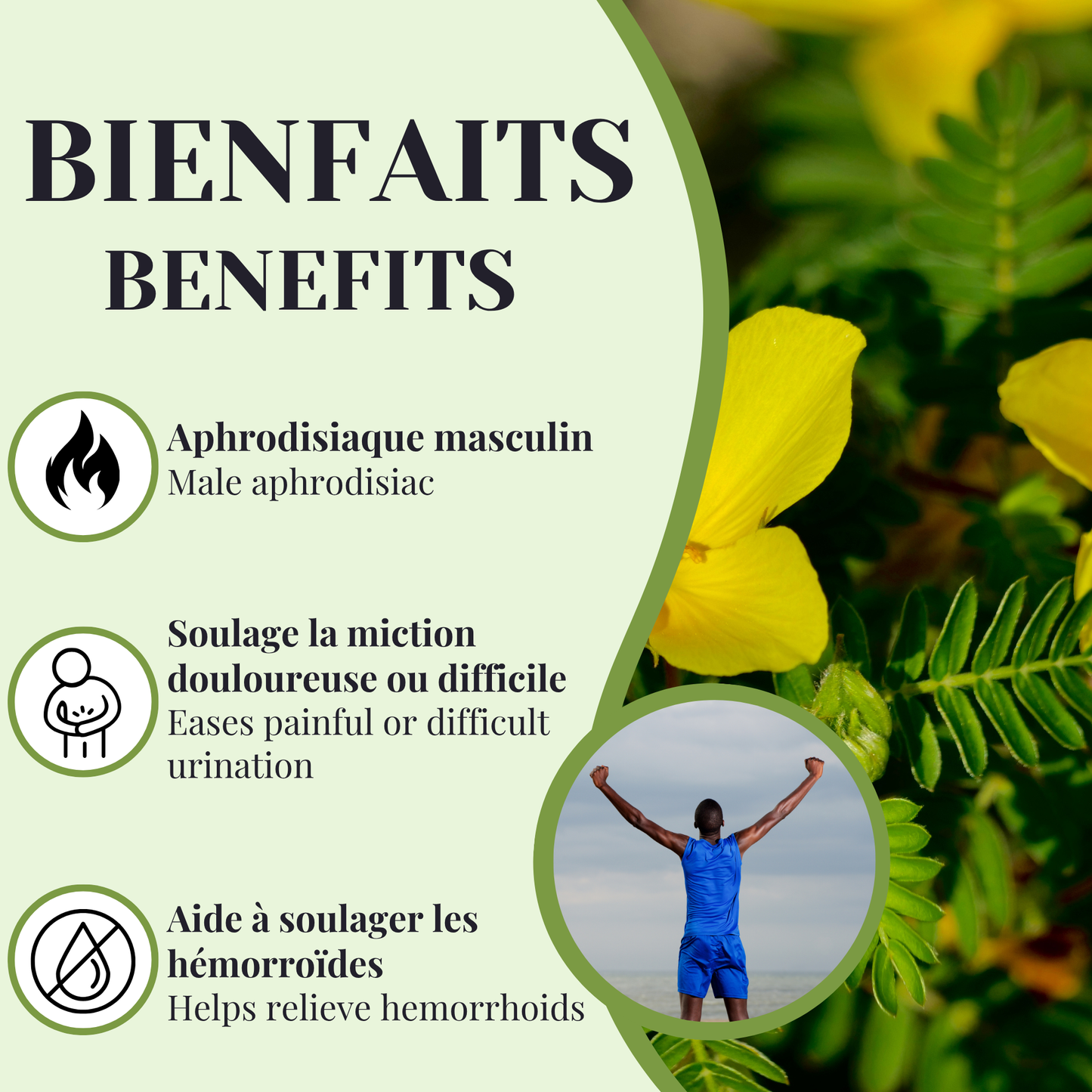 Tribulus Terrestris | Soutien androgénique & urinaire | 90 capsules