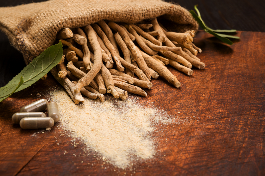 L'Ashwagandha : Un superaliment aux multiples bienfaits