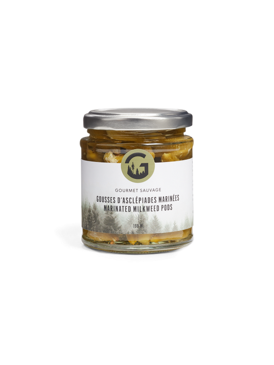 Gousses d’Asclépiades marinées | 190 ml