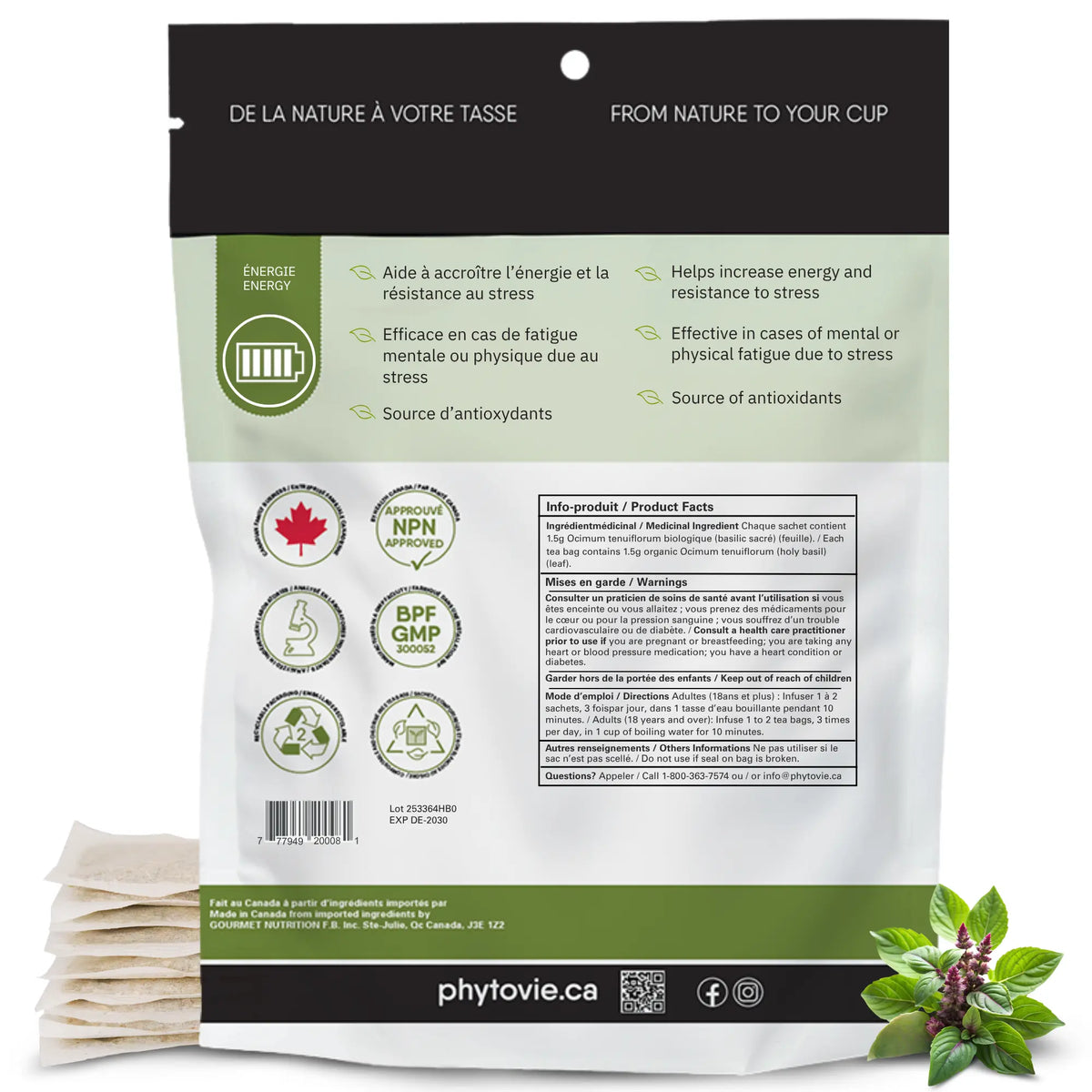 Verso de l'emballage Basilic sacré Phytovie avec bienfaits énergie et tableau des informations produit