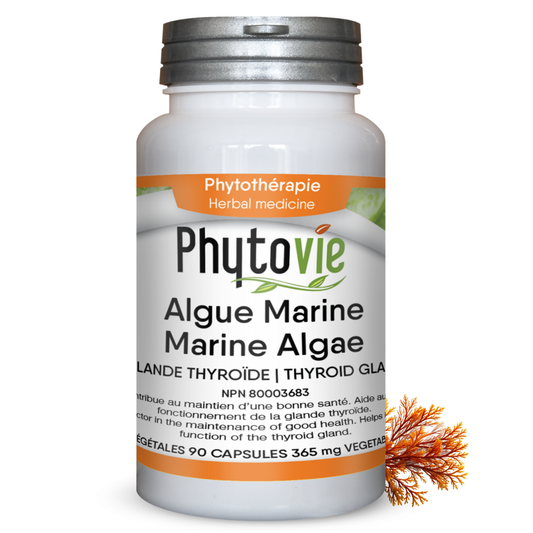 Algue Marine | Glande Thyroïde | 90 capsules