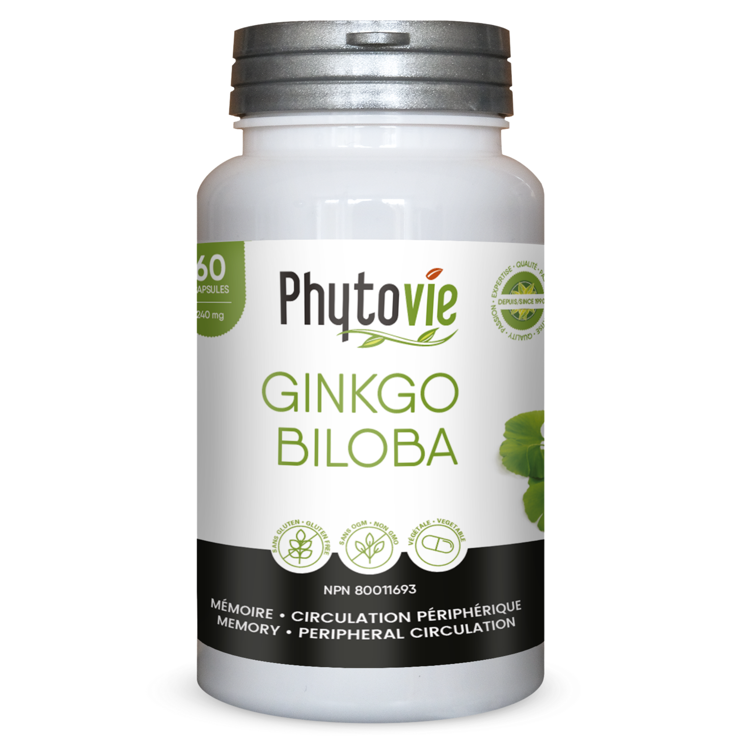 Ginkgo Biloba Extract | Memory & Peripheral Circulation | 60 Capsules