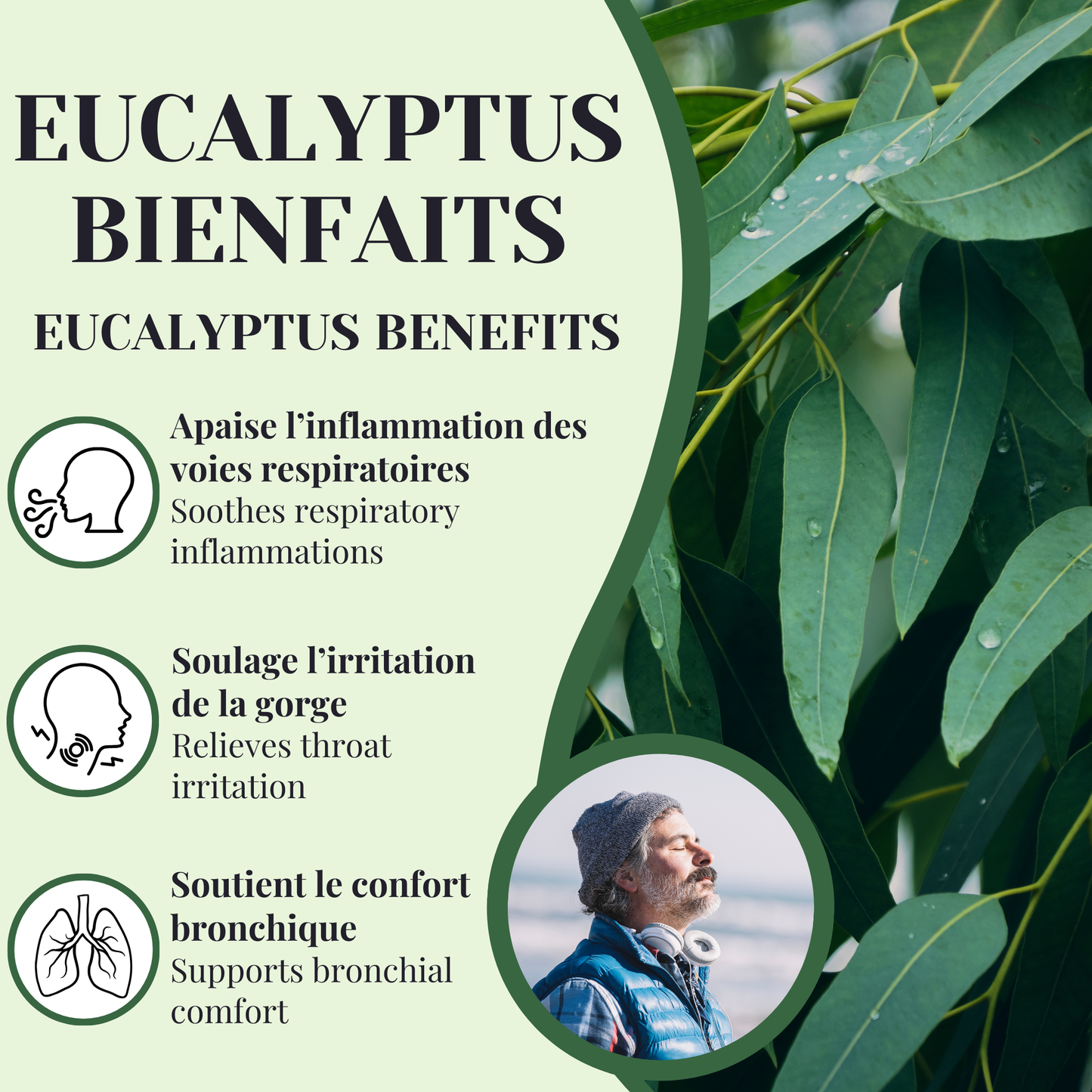 Eucalyptus | Expectorant | 90 capsules