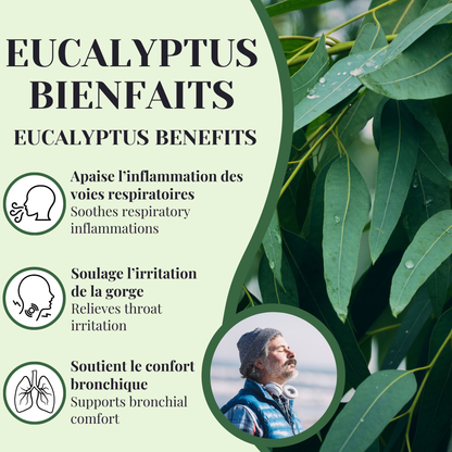 Eucalyptus | Expectorant | 90 capsules