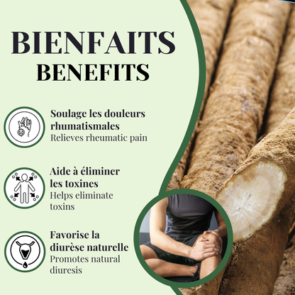 Burdock | Rheumatism & Kidney Elimination | 100 grams
