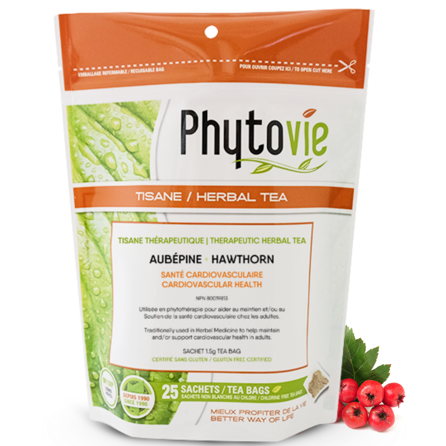 Aubépine | Santé cardiovasculaire | 25 Sachets