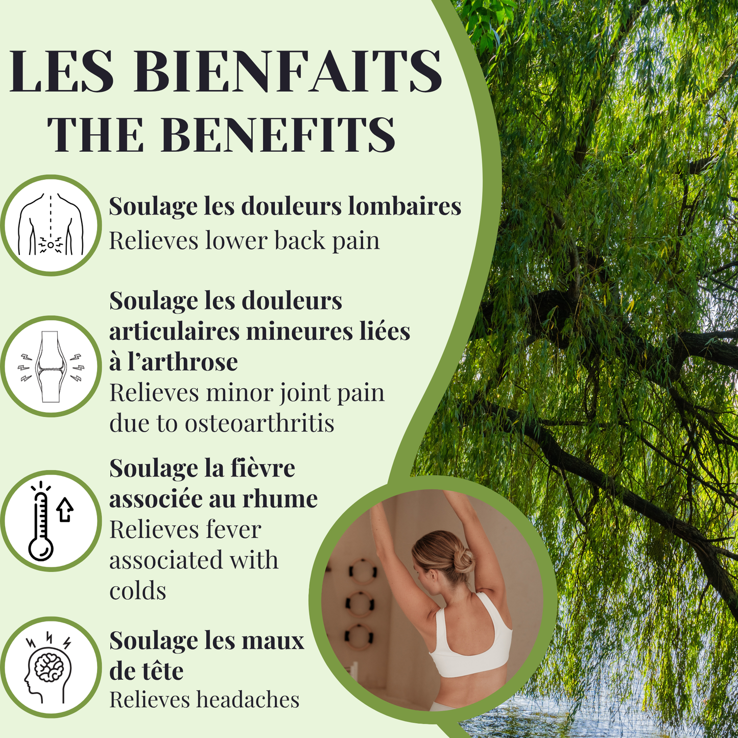 Willow | Joint Pain | 60 Capsules