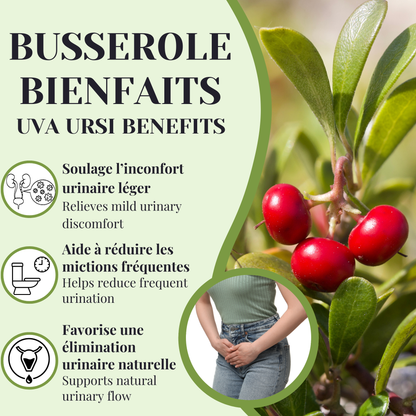 Busserole | Diurétique & infection urinaire | 100 grammes